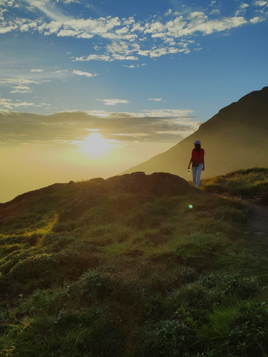 Honeymoon Spot Munnar, Kerala