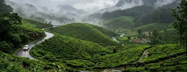 A Journey Through Munnar's Green Paradise in the Rainy Season