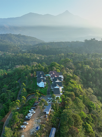How to Plan the Perfect Family Vacation in Munnar 