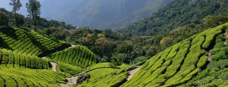 Lockhart Gap – A Hidden Mountain Passage Near Munnar