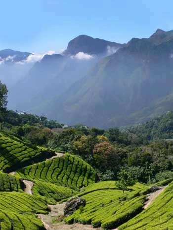 Lockhart Gap – A Hidden Mountain Passage Near Munnar