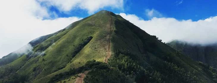Meesapulimala - A Quiet Escape into Munnar’s Untouched Beauty