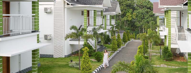 Munnar Trip Planning Guide: Where to Stay, What to See & More