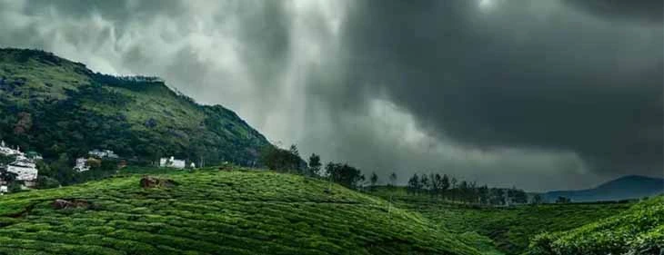 The Beauty of Munnar During Monsoon