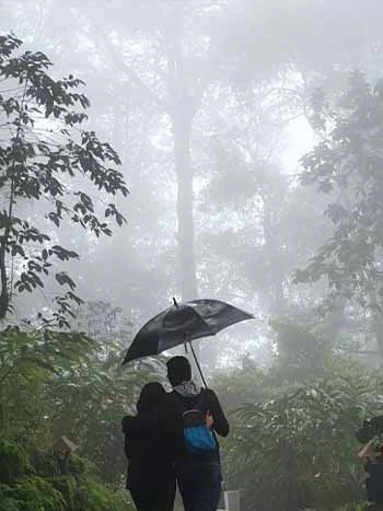 The Beauty of Munnar During Monsoon