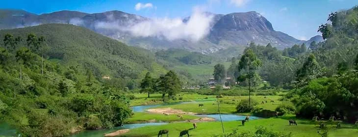 The Natural Beauty of Eravikulam and Anamudi