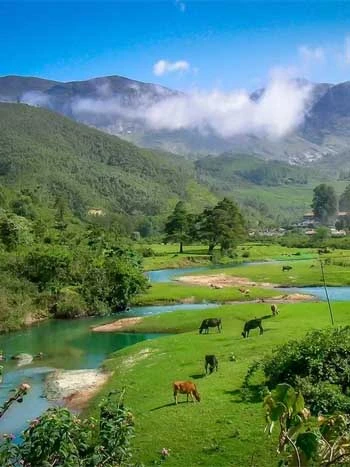 Meesapulimala - A Quiet Escape into Munnar’s Untouched Beauty