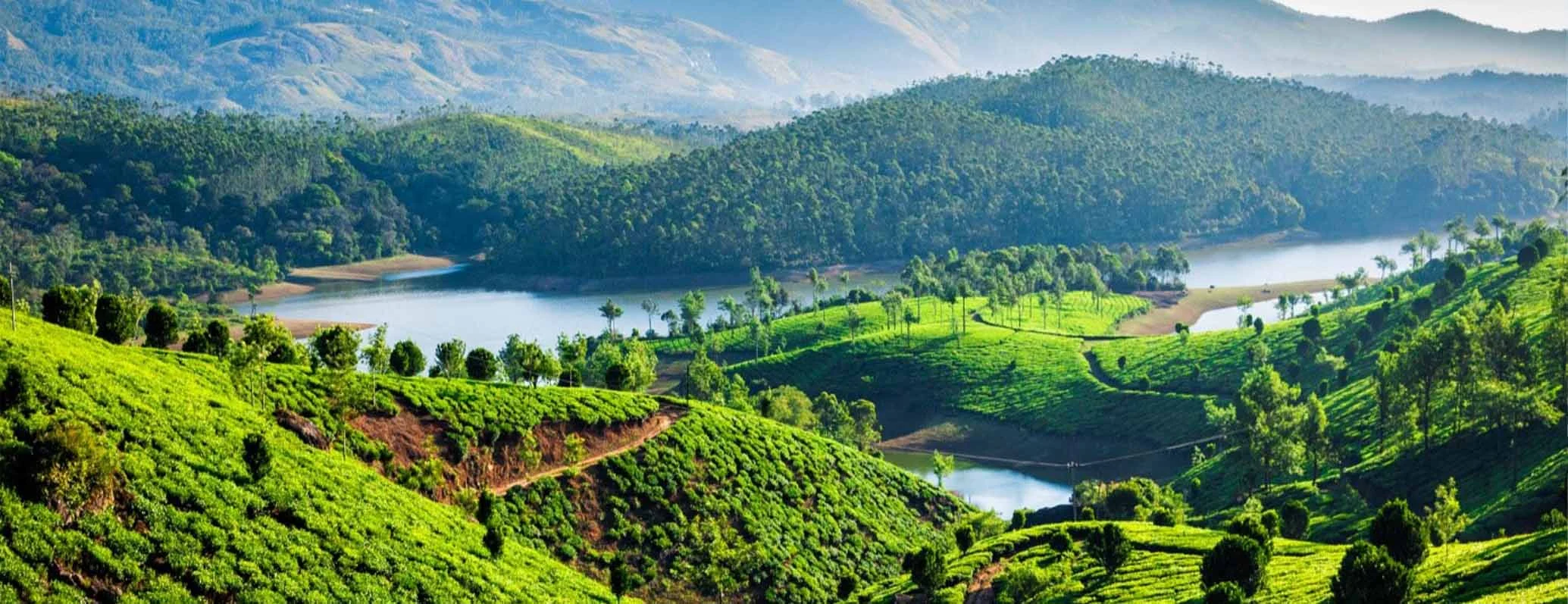 The Quiet Luxury of Old Munnar