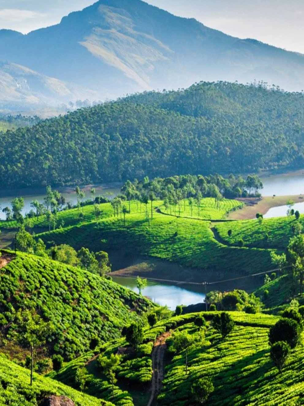 The Quiet Luxury Of Old Munnar