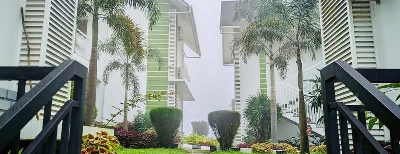Best Things to Do in Munnar During the Monsoon Season Best Things to Do in Munnar During the Monsoon Season