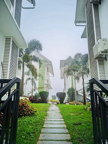 Best Things to Do in Munnar During the Monsoon Season