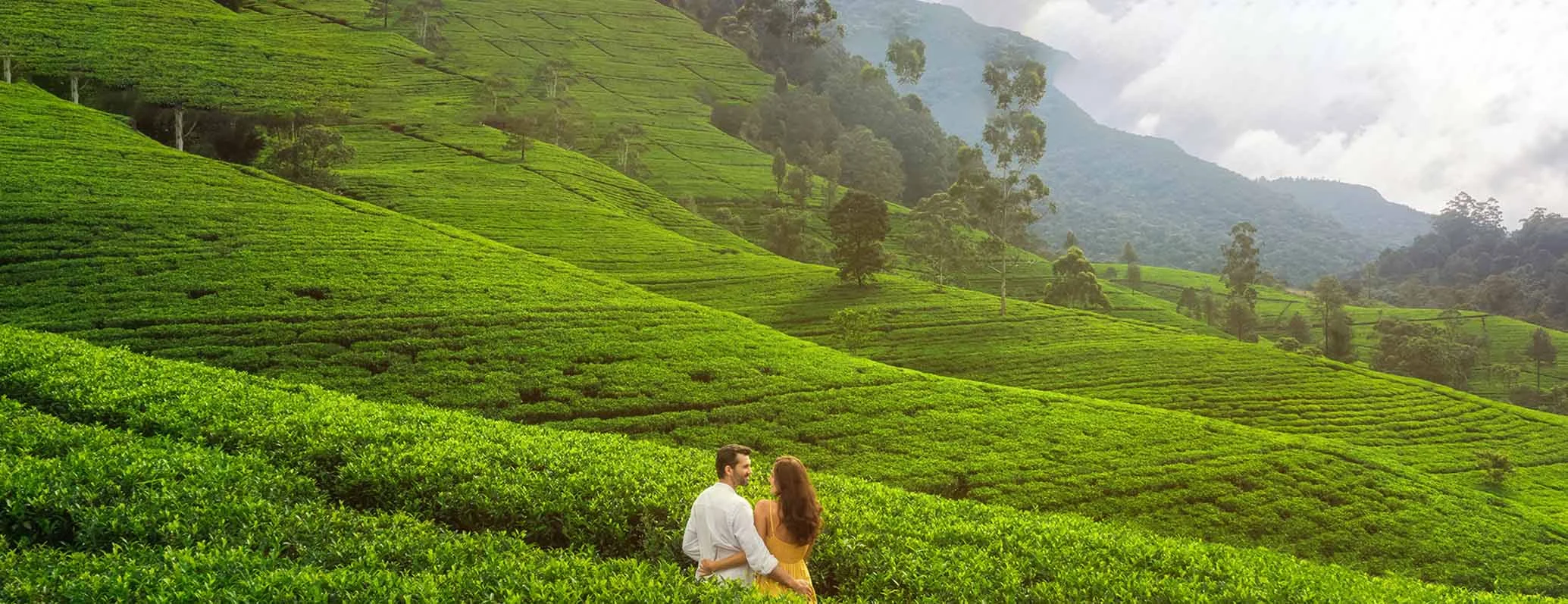 Top Romantic Destinations in Munnar
