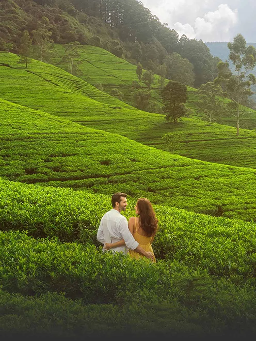 Top Romantic Destinations in Munnar