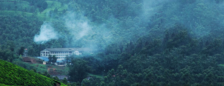 Top Viewpoints in Munnar for a Memorable Monsoon Experience