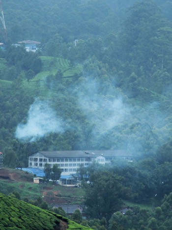 Top Viewpoints in Munnar for a Memorable Monsoon Experience