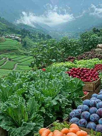 Travel Tips for Exploring Vattavada